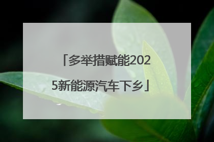 多举措赋能2025新能源汽车下乡