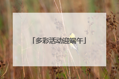 多彩活动迎端午