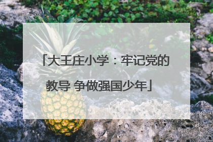 大王庄小学：牢记党的教导 争做强国少年