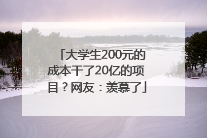 大学生200元的成本干了20亿的项目？网友：羡慕了
