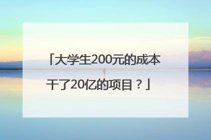 大学生200元的成本干了20亿的项目？