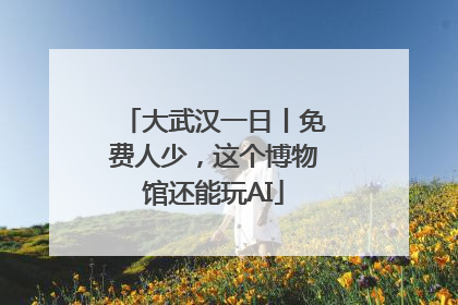 大武汉一日丨免费人少，这个博物馆还能玩AI