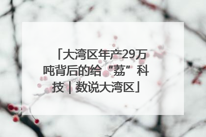 大湾区年产29万吨背后的给“荔”科技｜数说大湾区