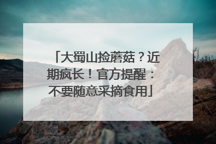 大蜀山捡蘑菇？近期疯长！官方提醒：不要随意采摘食用