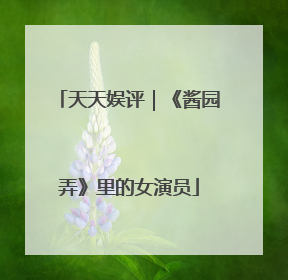 天天娱评｜《酱园弄》里的女演员