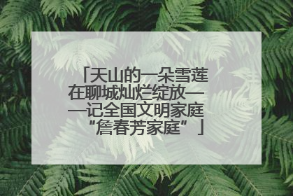 天山的一朵雪莲在聊城灿烂绽放——记全国文明家庭“詹春芳家庭”