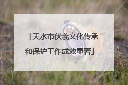 天水市伏羲文化传承和保护工作成效显著