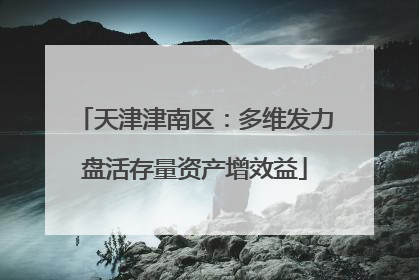 天津津南区：多维发力盘活存量资产增效益