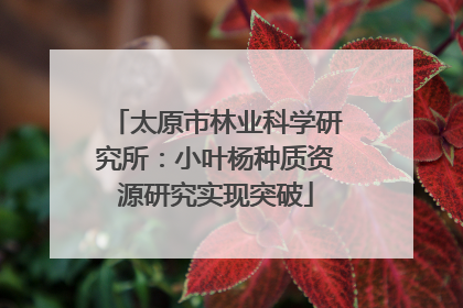 太原市林业科学研究所：小叶杨种质资源研究实现突破
