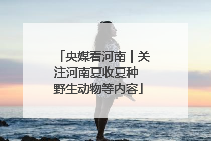 央媒看河南｜关注河南夏收夏种 野生动物等内容