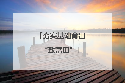 夯实基础育出“致富田”