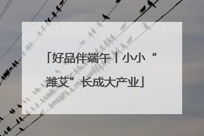好品伴端午丨小小“潍艾”长成大产业