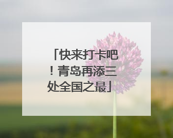 快来打卡吧！青岛再添三处全国之最