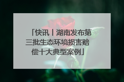 快讯丨湖南发布第三批生态环境损害赔偿十大典型案例