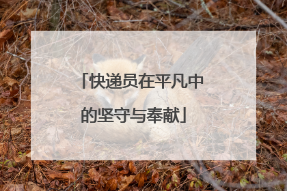 快递员在平凡中的坚守与奉献