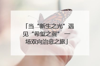 当“新生之光”遇见“希望之翼” 一场双向治愈之旅