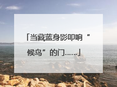 当藏蓝身影叩响“候鸟”的门……