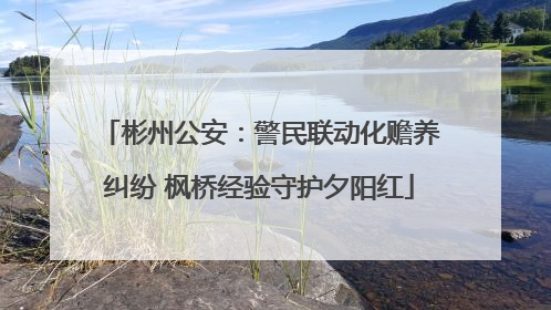 彬州公安：警民联动化赡养纠纷 枫桥经验守护夕阳红