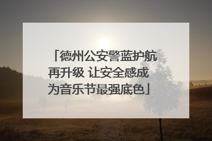 德州公安警蓝护航再升级 让安全感成为音乐节最强底色