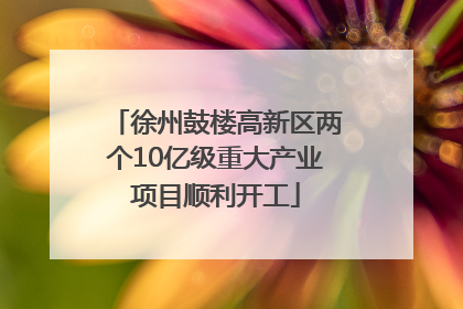 徐州鼓楼高新区两个10亿级重大产业项目顺利开工