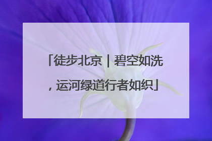 徒步北京｜碧空如洗，运河绿道行者如织