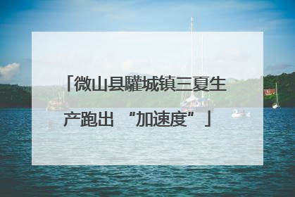 微山县驩城镇三夏生产跑出 “加速度”