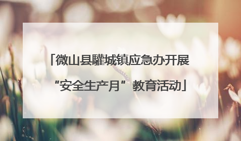 微山县驩城镇应急办开展“安全生产月”教育活动