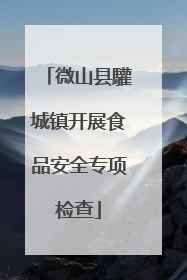 微山县驩城镇开展食品安全专项检查