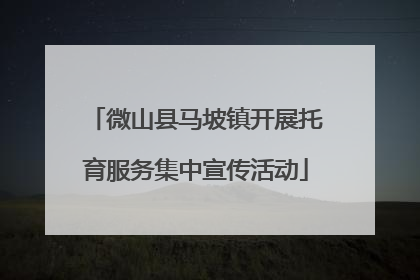 微山县马坡镇开展托育服务集中宣传活动