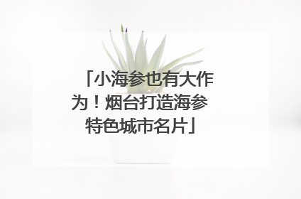 小海参也有大作为！烟台打造海参特色城市名片