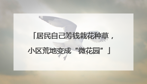 居民自己筹钱栽花种草，小区荒地变成“微花园”