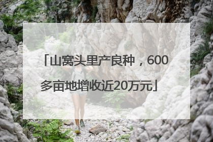 山窝头里产良种，600多亩地增收近20万元