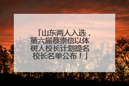 山东两人入选，第六届蔡崇信以体树人校长计划提名校长名单公布！