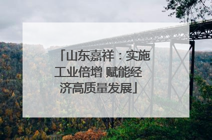 山东嘉祥：实施工业倍增 赋能经济高质量发展