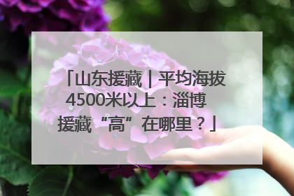 山东援藏｜平均海拔4500米以上：淄博援藏“高”在哪里？