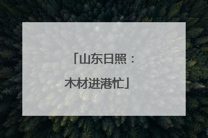 山东日照：木材进港忙