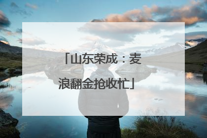 山东荣成：麦浪翻金抢收忙