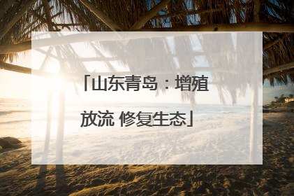 山东青岛：增殖放流 修复生态