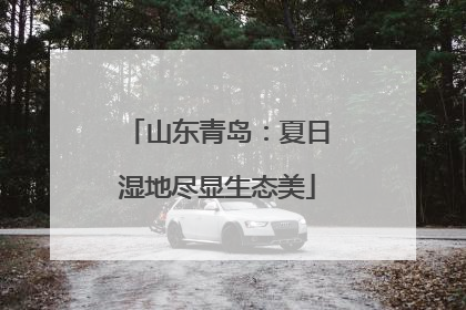 山东青岛：夏日湿地尽显生态美