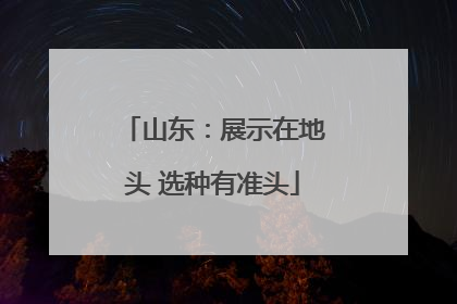 山东：展示在地头 选种有准头