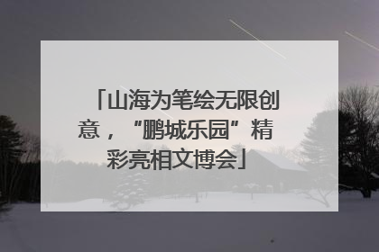 山海为笔绘无限创意，“鹏城乐园”精彩亮相文博会