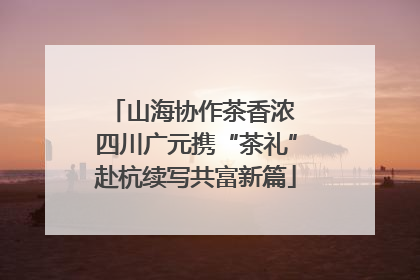 山海协作茶香浓 四川广元携“茶礼”赴杭续写共富新篇