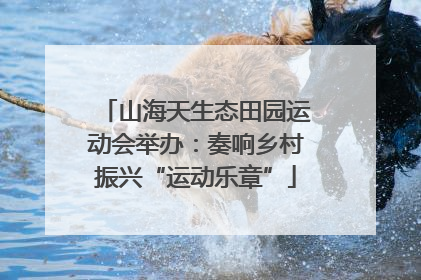 山海天生态田园运动会举办：奏响乡村振兴“运动乐章”