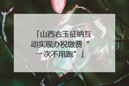 山西右玉征纳互动实现办税缴费“一次不用跑”