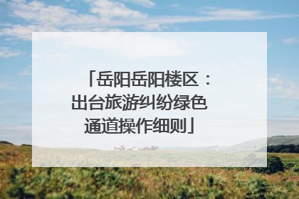 岳阳岳阳楼区：出台旅游纠纷绿色通道操作细则