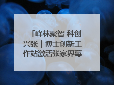 峰林聚智 科创兴张｜博士创新工作站激活张家界莓茶产业新动能