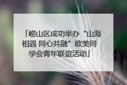 崂山区成功举办“山海相遇 同心共融”欧美同学会青年联谊活动