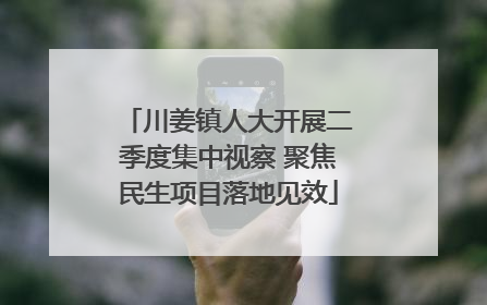 川姜镇人大开展二季度集中视察 聚焦民生项目落地见效