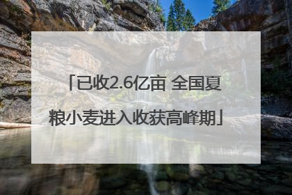 已收2.6亿亩 全国夏粮小麦进入收获高峰期