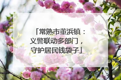 常熟市董浜镇：义警联动多部门，守护居民钱袋子
